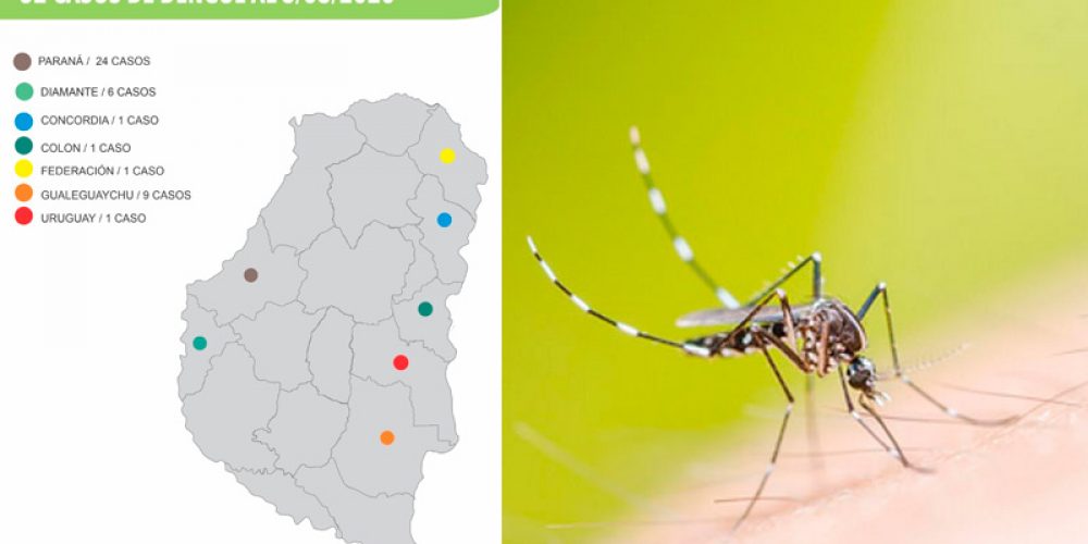 Confirmaron 52 casos de dengue en Entre Ríos y se analiza uno de coronavirus
