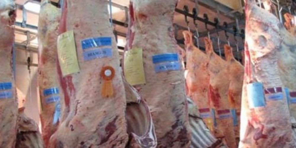 Record de exportaciones de carne: En 9 meses generaron más de 2 mil millones de dólares