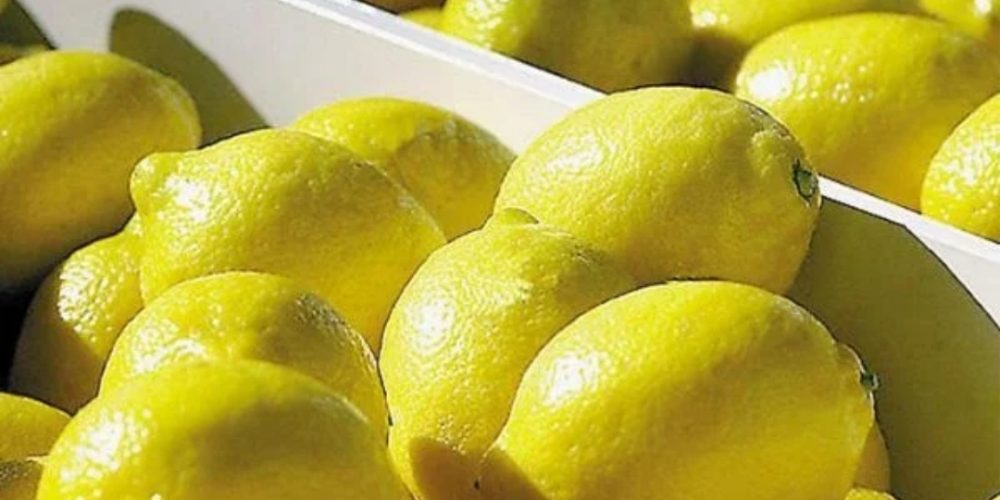 Los limones argentinos llegan a India: se hizo la primera exportación