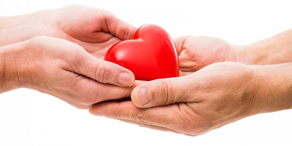 Día Nacional de la Donación de Órganos: este año ya hubo más de 1300 trasplantes