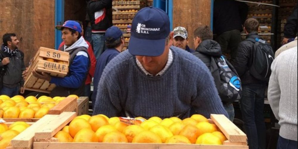 El Sindicato de la Fruta criticó la declaración de Emergencia Citrícola
