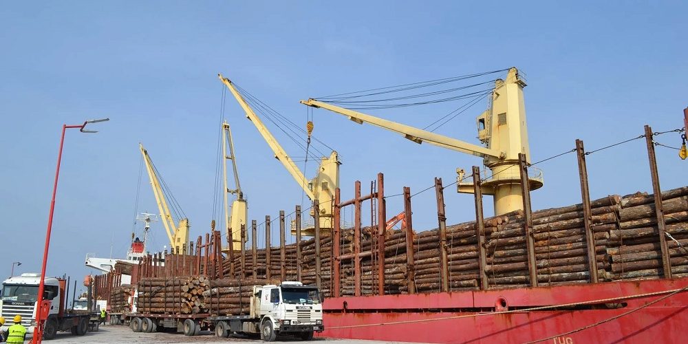 Desde Entre Ríos zarpó hacia China la primera exportación de madera de álamo