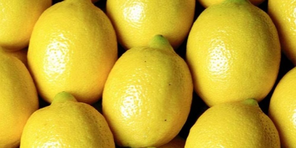 Misión Comercial: India oficializó la compra de limones y chía de Argentina