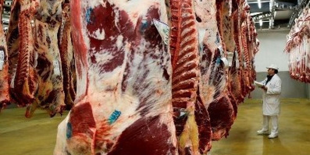 El sector cárnico volvió a pedir que Bordet interceda ante Nación para normalizar las exportaciones de carne