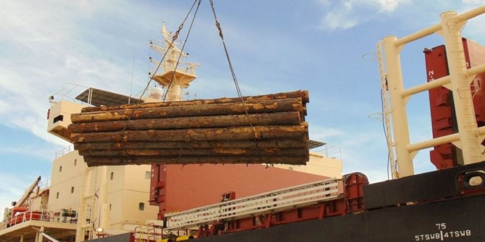 Dos nuevos buques ingresarán al puerto de “la histórica” para cargar madera