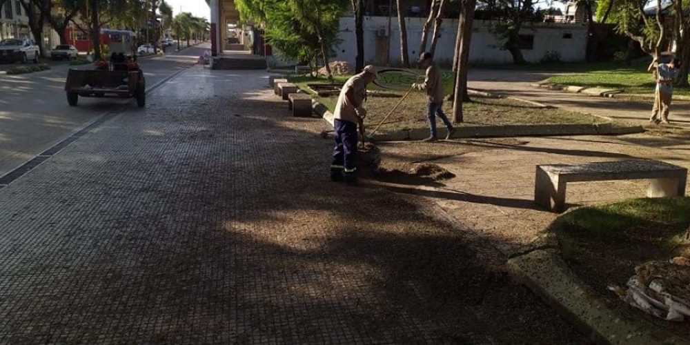 Federación: Personal Municipal realiza la limpieza de excremento de pájaros en plazoleta