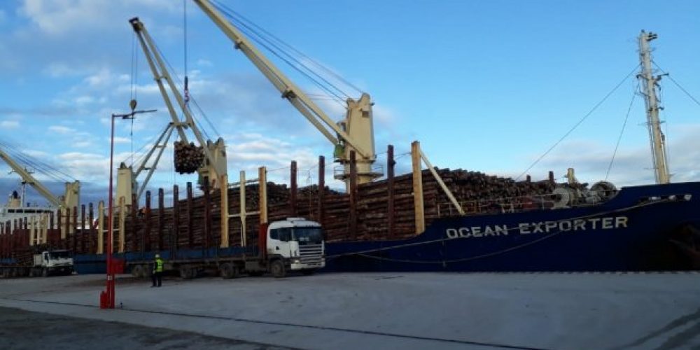Otra carga de madera entrerriana tendrá como destino a China