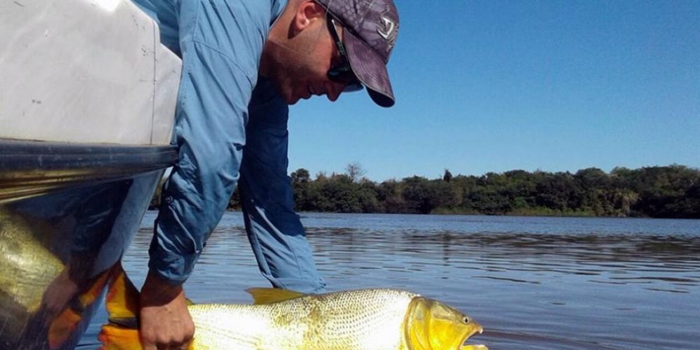 Alertan sobre la veda para la pesca del dorado en Entre Ríos