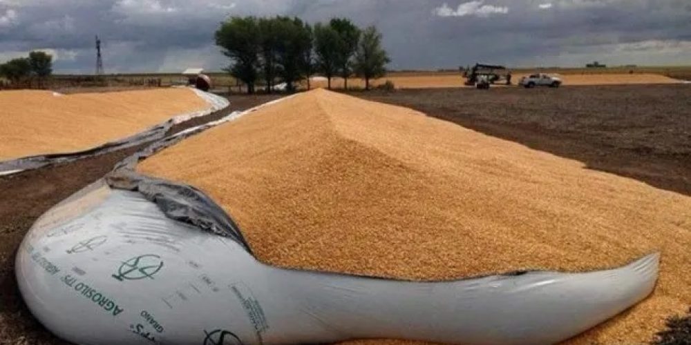 El BCRA aprobó un incentivo al campo para liquidar granos