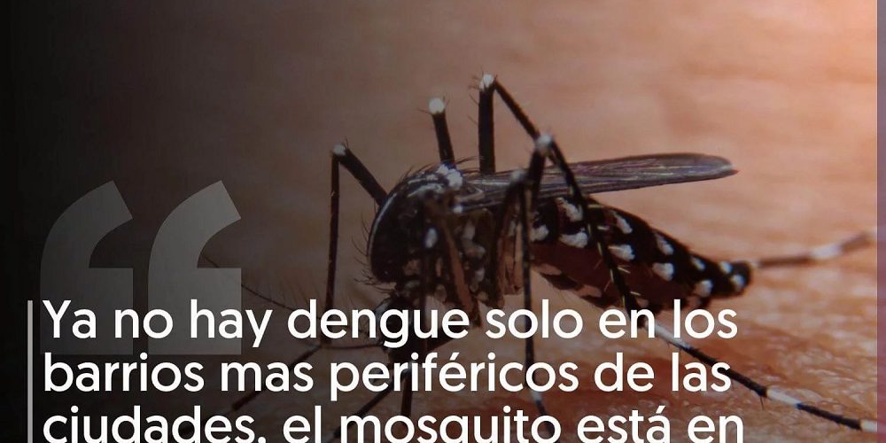 “El dengue llegó para quedarse” y piden redoblar las medidas de prevención