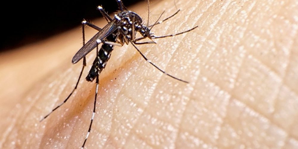 Chajarí cumplió, una vez más, con el objetivo de “Dengue Cero”