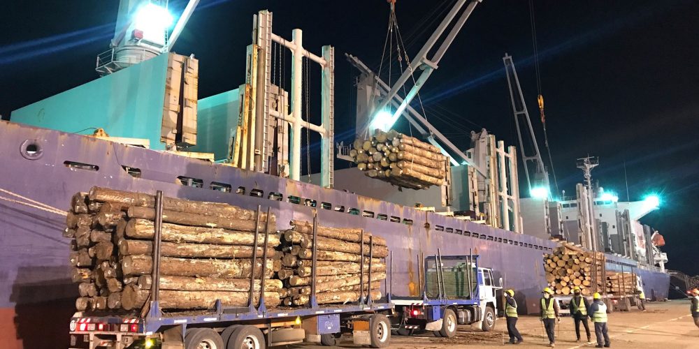 Los puertos entrerrianos completan una nueva exportación de madera