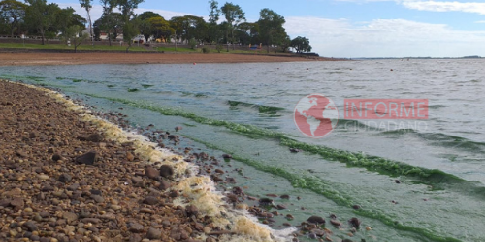 Detectaron exceso de coliformes fecales y bacterias en Playas del Río Uruguay