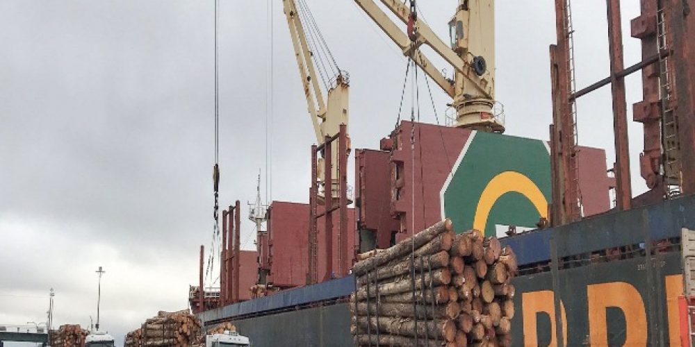 Argentina abre el mercado indio de la madera a partir de los puertos entrerrianos