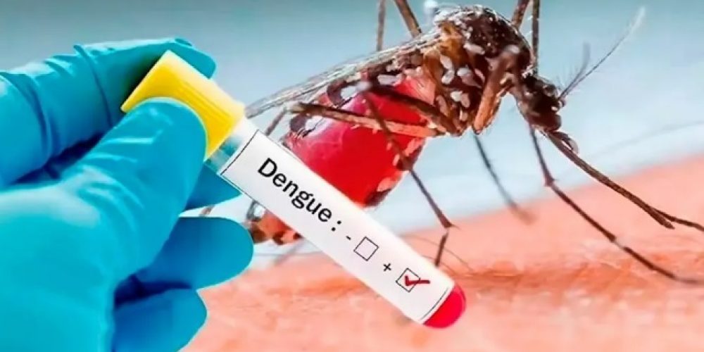 Ascienden a 544 los casos de dengue en la provincia