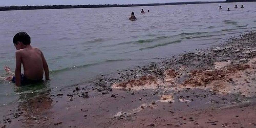 Las playas de Colón fueron invadidas por algas tóxicas