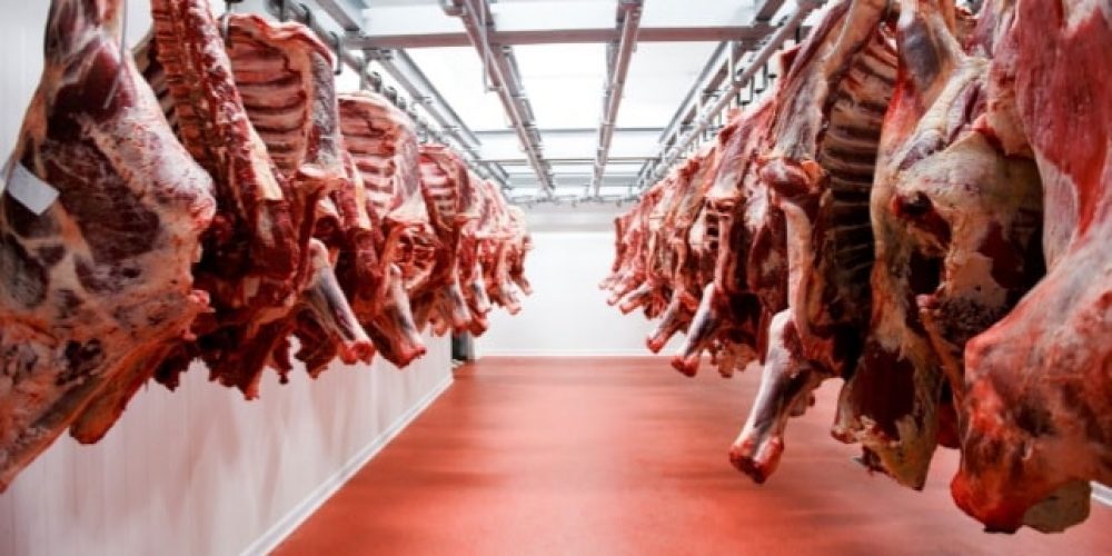 Fuerte rechazo de la oposición entrerriana al cierre de la exportación de carne