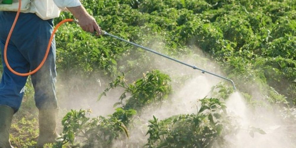Agroquímicos: el decreto que prepara el Gobierno sobre fumigaciones diferenciaría tipos de cultivo