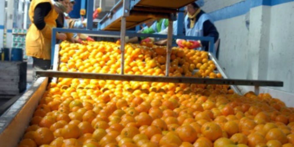 El Gobierno provincial, productores y sindicatos del sector citrícola trabajaron en propuestas para el sector