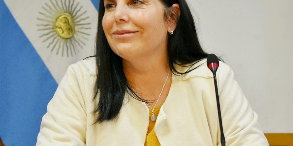 La Comisión de Comercio que preside Gabriela Lena debatió condiciones del sistema de tarjetas