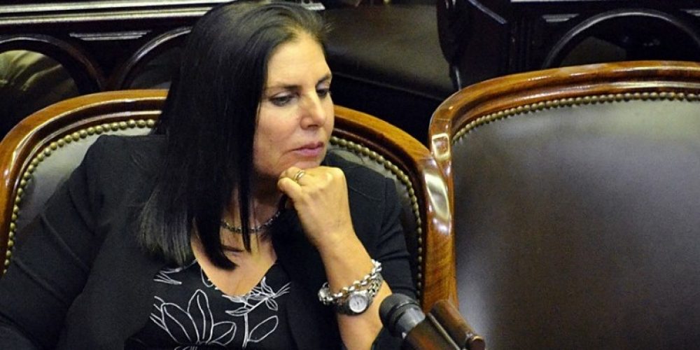 “El Gobierno de Fernández quiere anular el Congreso y ejercer el poder sin control”, aseguró la diputada Lena