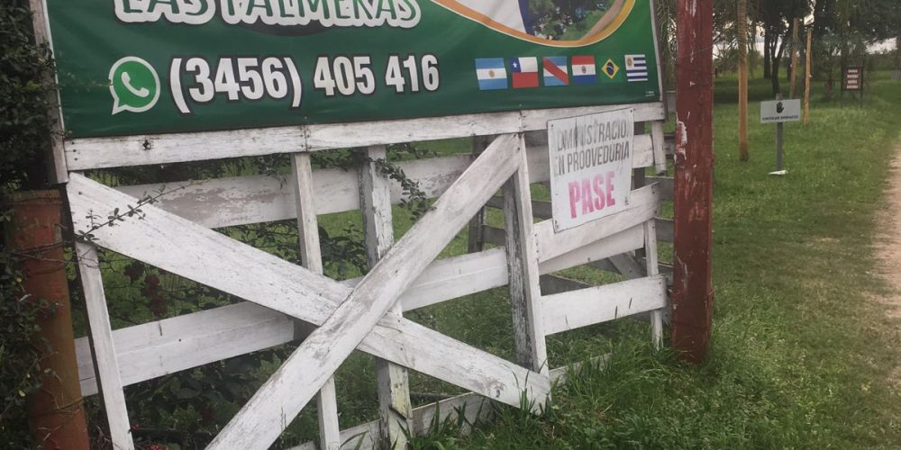 Vecinos preocupados por el estado del Camping “Las Palmeras”