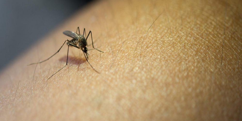 Hay 33 casos confirmados de dengue en Entre Rios