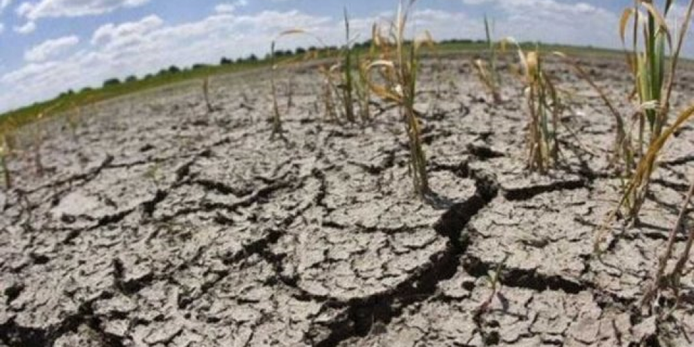 Vence el plazo para que productores afectados por la sequía accedan al beneficio de la emergencia